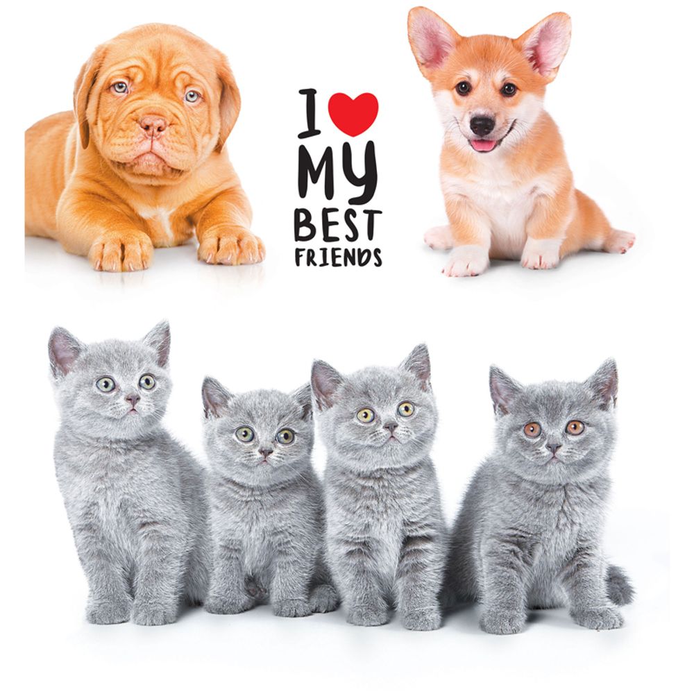 Тетрадь 48л, А5, линия, Спейс Pets