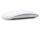 Мышь беспроводная Apple Magic Mouse 2024 USB-C (MXK53) белый