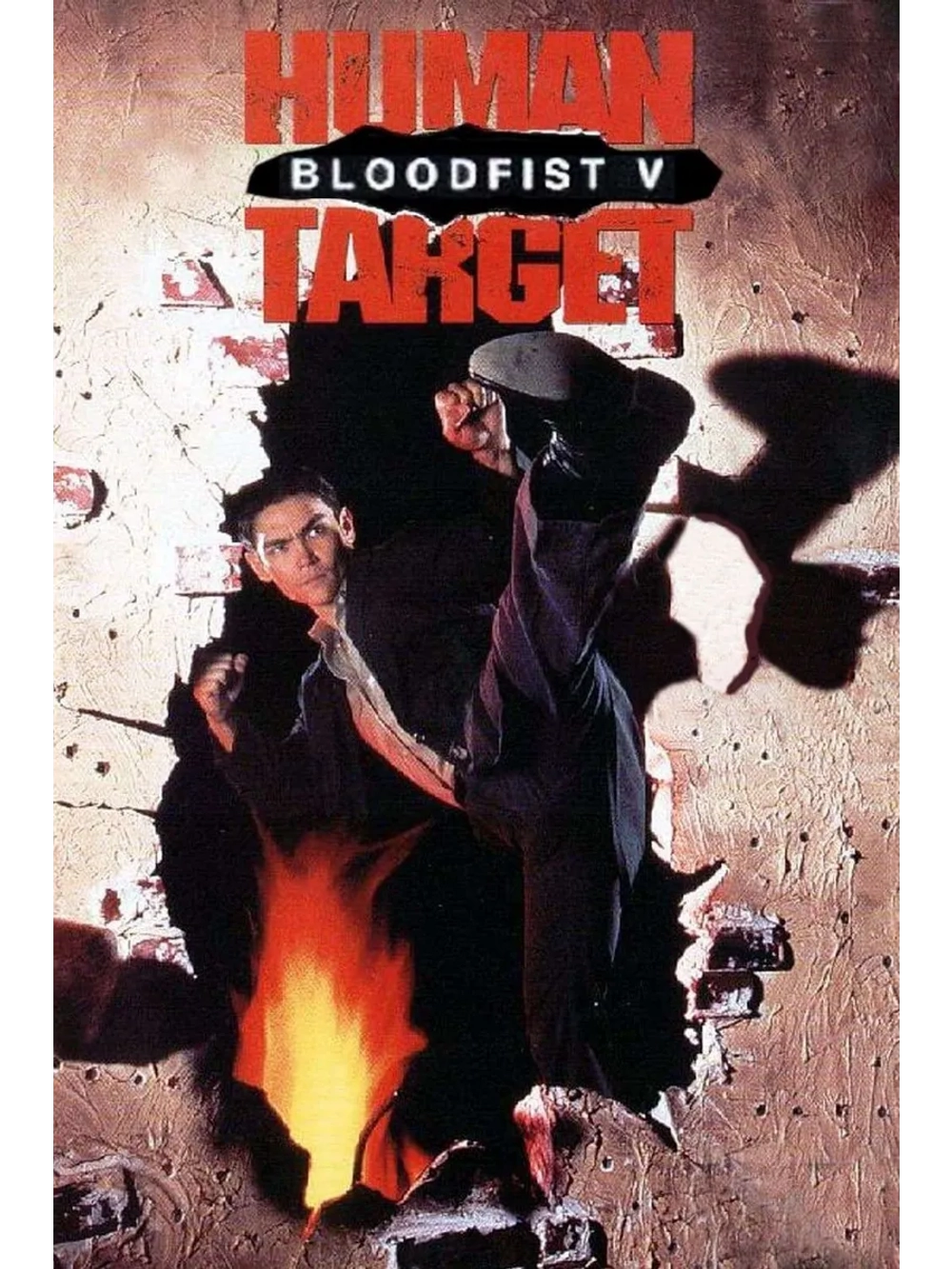 Кровавый кулак 5: Живая мишень (1994) (DVD-R)