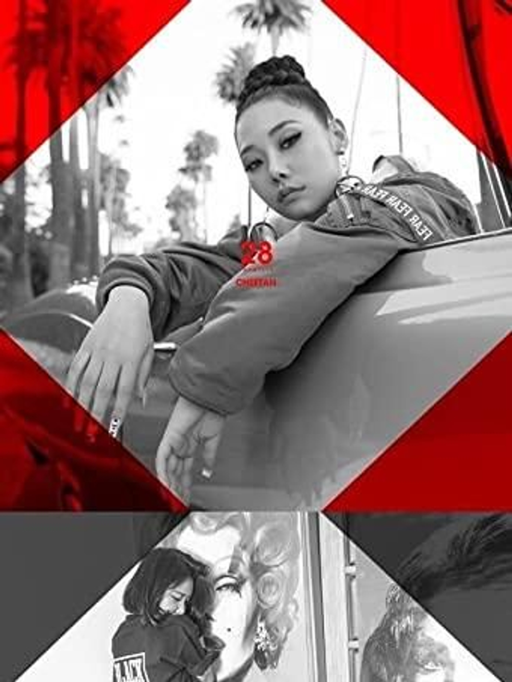 Альбом Cheetah - 28 Identity 1st Album