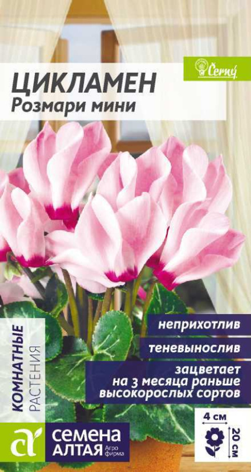 Цикламен Розмари мини/Сем Алт/цп 3 шт. КОМНАТНЫЕ РАСТЕНИЯ