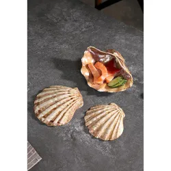 Блюдо для подачи 20*14,5 см h6 см 150 мл емкость для закусок Pearl Shell Frutti di Mare P.L. [1]
