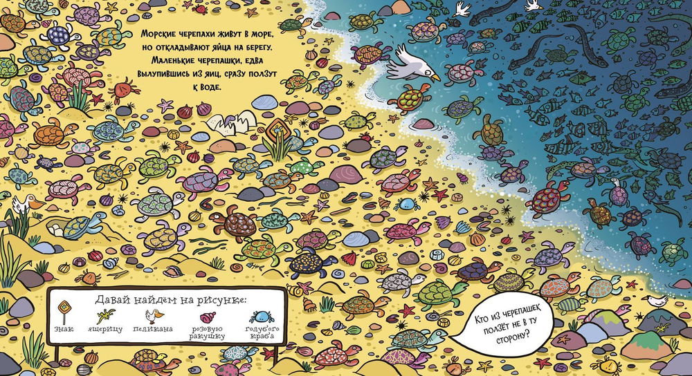 Найди акулу в океане