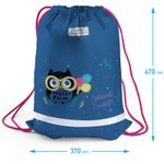 Мешок для обуви 1 отделение, Berlingo Funny owl 46х36см, сеточка, светоот.лента