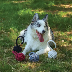 Игрушка для собак Мяч-петля COTO 8 см M-Pets