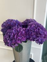 Гортензия в фиолетовом оттенке