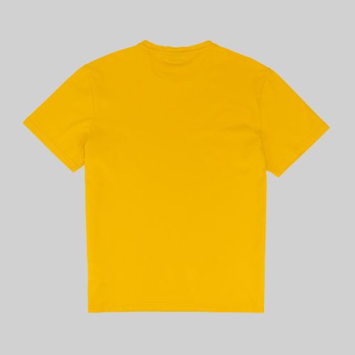 Футболка мужская Napapijri Salis Short Sleeve Sum артикул:NA4H8DY1H - купить в магазине Дайс