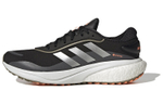 Кроссовки Adidas Supernova Gore-Tex