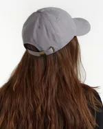 Кепка Anteater 6Panel серая