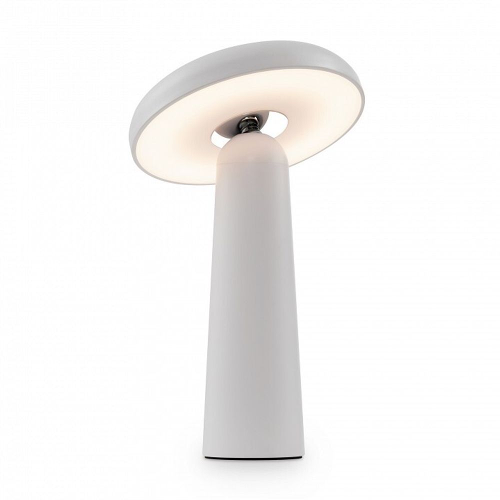Настольная лампа декоративная Freya Mushroom FR6109TL-L4W