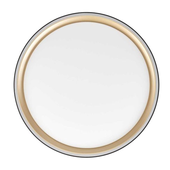 Потолочный светодиодный светильник Citilux Boss CL751251G