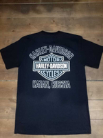 Футболка Harley-Davidson Kazan