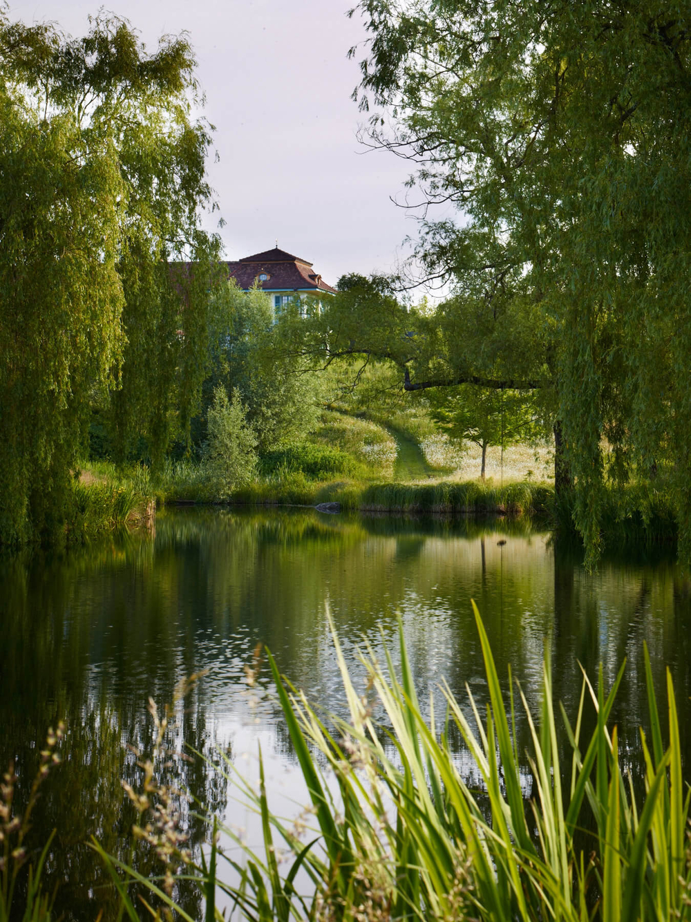 Gardens in my life. Arabella Lennox-Boyd
