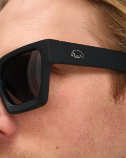 Очки Anteater Президент Черный