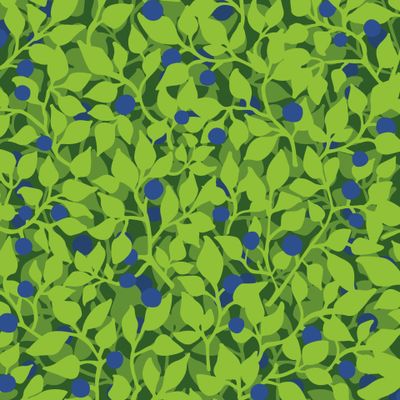 Лесная черника