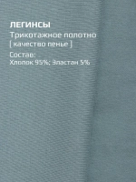 Спортивный костюм для девочки на весну с леггинсами
