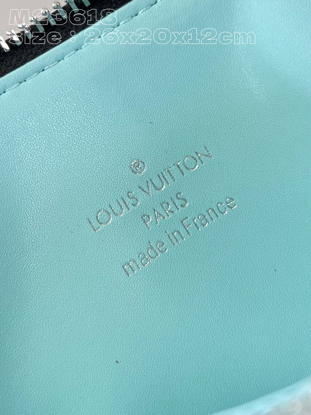Louis Vuitton Coussin PM