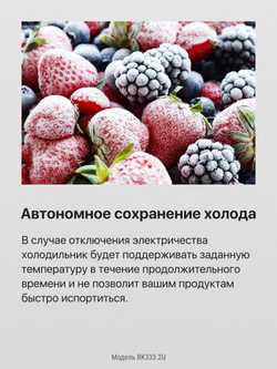 Встраиваемый холодильник Hansa BK333.2U