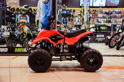 MOTAX ATV MIKRO 110 cc Красный