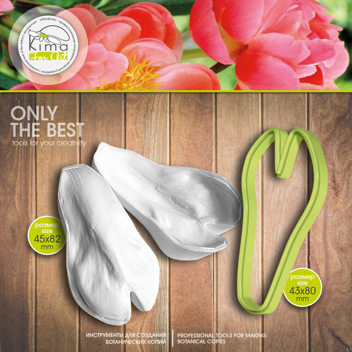 Пион Coral лепесток средний раздвоенный