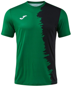 Мужская теннисная футболка Joma Picasho Short Sleeve - green black
