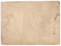 Перевоз. Катанья на лодках. Чёрно-белая фотография. Россия. 1900-е.