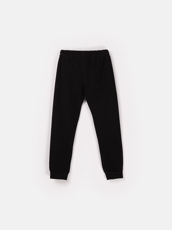 Джоггеры флисовые 