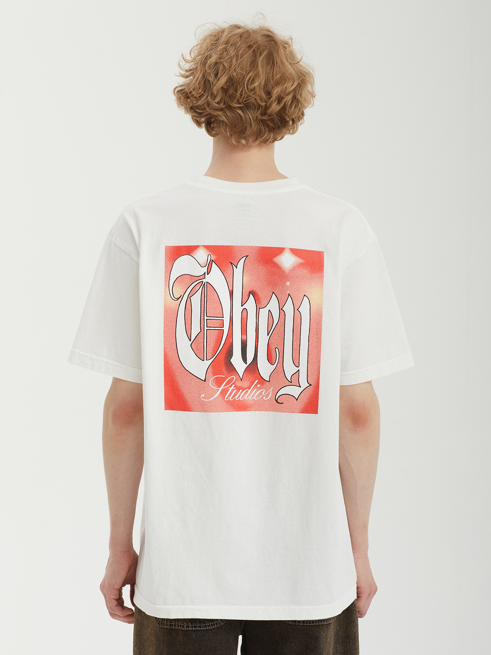 Мужская Футболка Obey Powerhouse