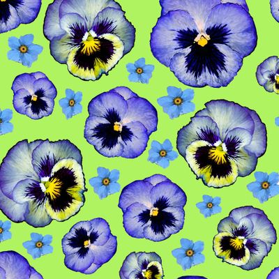 Анютины глазки. Арт 2