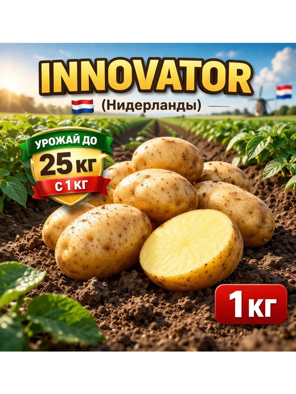 Картофель семенной Инноватор (Innovator) Нидерланды
