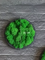 Панно из мха набор 3 шт.