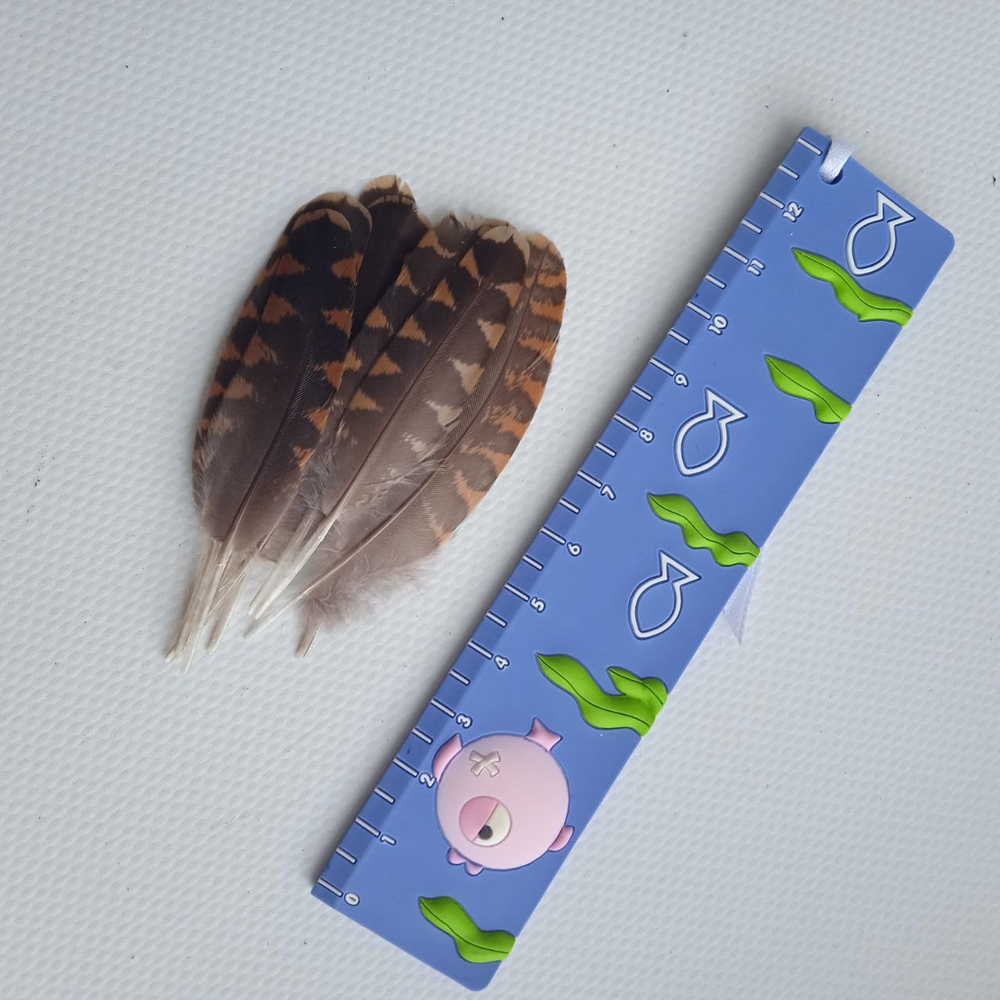 Перья вальдшнепа 4-7 см. 10 шт.