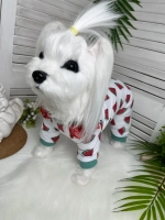 Трикотажный комбинезон для собак и кошек