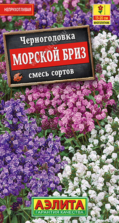 Черноголовка Морской бриз, смесь окрасок