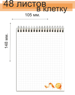 Блокнот А6 формата "Садовые Фрукты" 48 листов с дизайном на страницах, комплект 4 блокнота