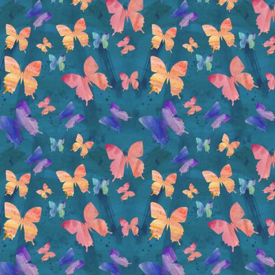 разноцветные бабочки