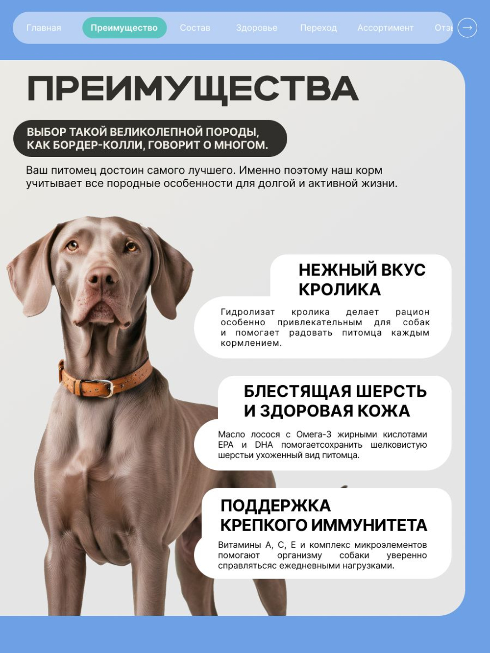 Корм для взрослых собак породы Веймаранер, с кроликом, 3 кг, QUATTRO