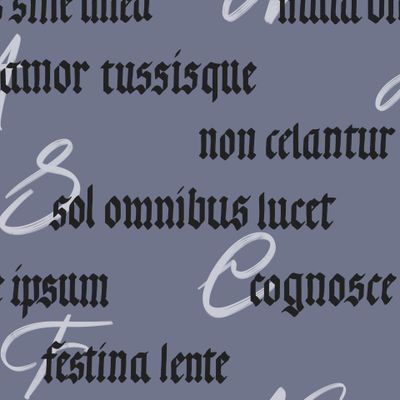 Латинские фразы на сером