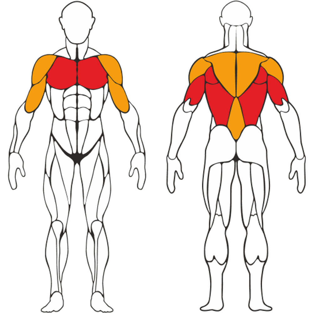 Пресс-брусья профессиональные Серый