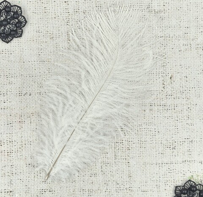 Перо, р. 22х12 см.