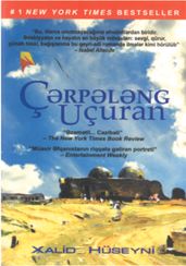 Çərpələng uçuran