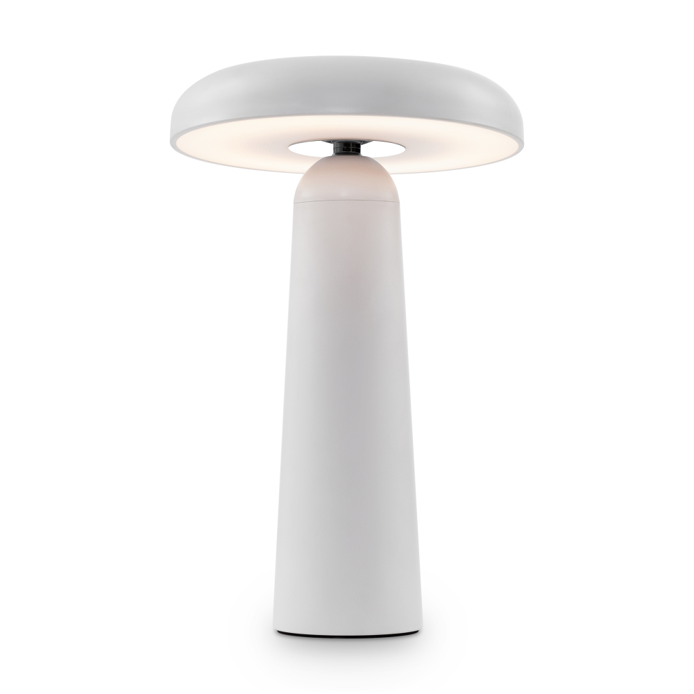 Настольная лампа светодиодная Freya Mushroom FR6109TL-L4W
