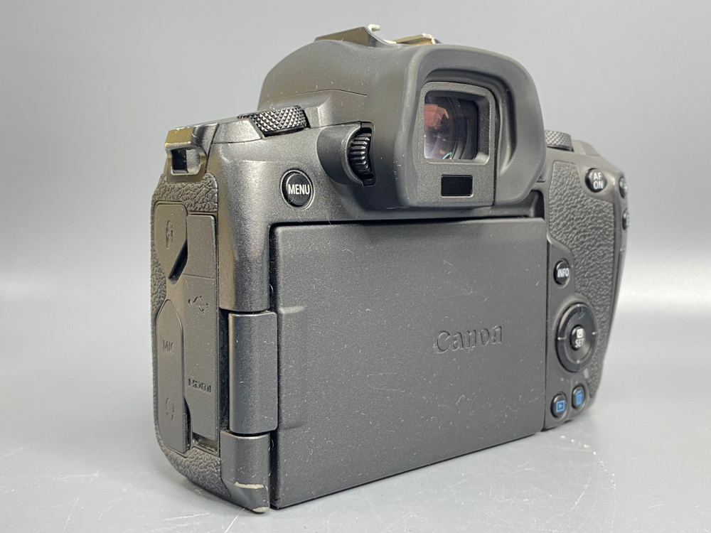 Canon EOS R 31000 кадров