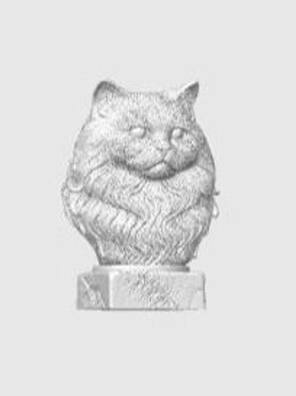 Британская Длинношерстная Кошка