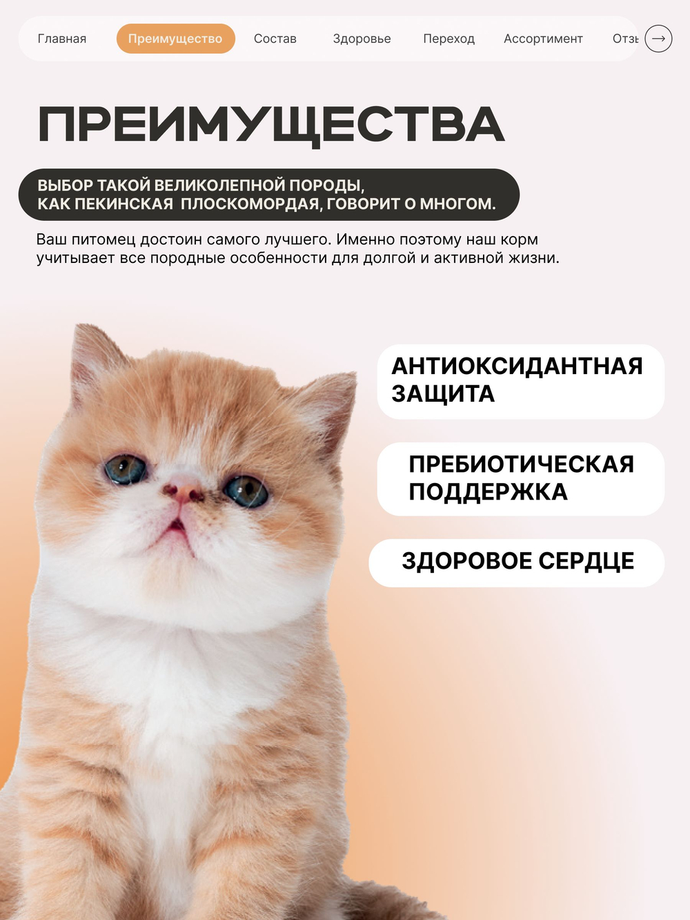 Корм сухой для котят породы Пекинская плоскомордая, с индейкой, 400 гр, QUATTRO