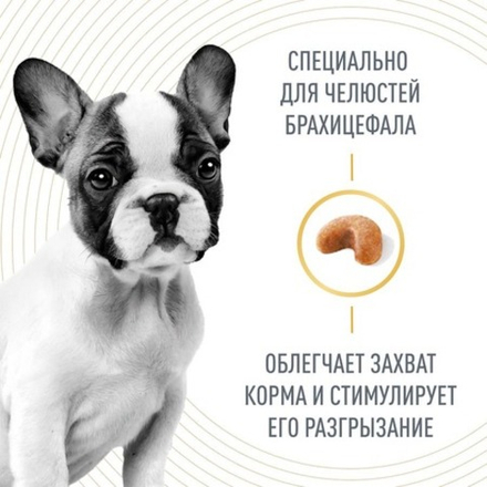 Royal Canin FRENCH BULLDOG PUPPY питание д/ щенков породы французский бульдог 10 кг