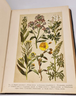 "Ботанический атлас по системе де-Кандоля". К.Гофман. 1899г.