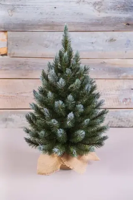 Ель Женева заснеженная 90 см., леска, Triumph Tree (73065)