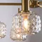 Потолочный светильник Феро / Fero Freya fr5366cl-05bs
