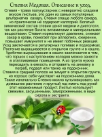 Стевия Медовая природный заменитель сахара